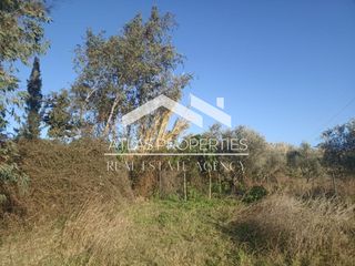 Οικόπεδο 16.135 τ.μ. πρός πώληση, Ν. Χανίων, Θέρισος-thumb-3