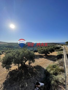 Οικόπεδο 3.586 τ.μ. για πώληση