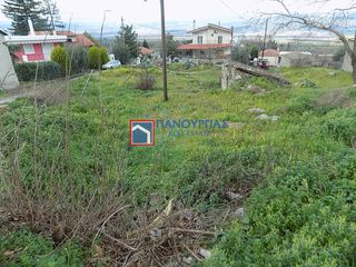 Οικόπεδο 1.281 τ.μ. για πώληση, Φθιώτιδας, Υπάτη-thumb-16