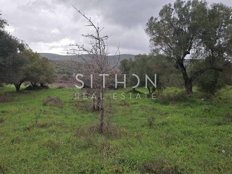 Αγροτεμάχια 455 τ.μ. προς πώληση, Κουφός Τορώνης