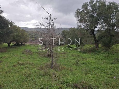 Αγροτεμάχια 455 τ.μ. προς πώληση