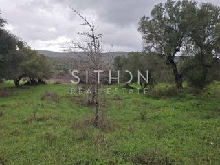 Αγροτεμάχια 455 τ.μ. για πώληση
