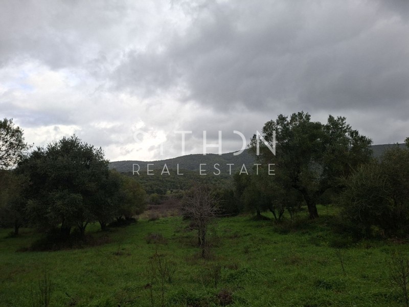 Αγροτεμάχια 455 τ.μ. προς πώληση, Κουφός Τορώνης