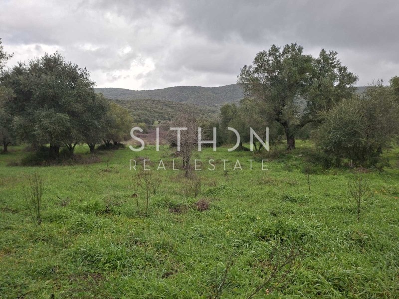 Αγροτεμάχια 455 τ.μ. προς πώληση, Κουφός Τορώνης