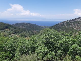 Αγροτεμάχια 817 τ.μ. για πώληση