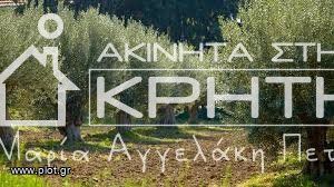 Land plot 3.600sqm for sale-Ierapetra » Meseleroi