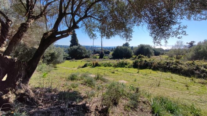 Parcel 3.076 sqm for sale, Kefallinia Prefecture, Kefalonia