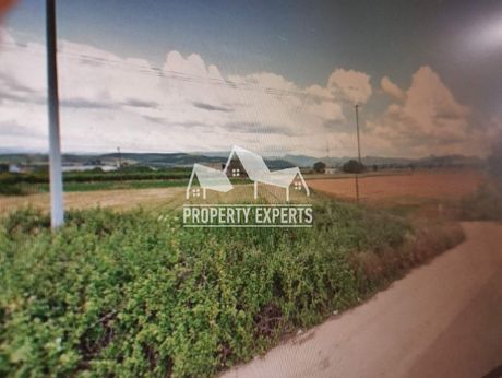 Parcel 8.000sqm for sale-Traianoupoli » Antheia