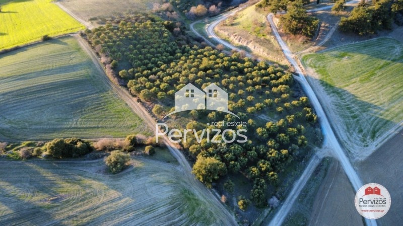 Αγροτεμάχια 13.700 τ.μ. πρός πώληση, Θεσσαλονίκη - Περιφ/Κοί Δήμοι, Θέρμη