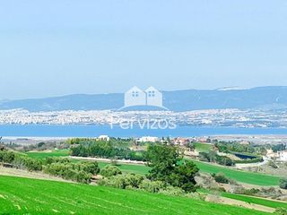 Αγροτεμάχια 13.700 τ.μ. για πώληση