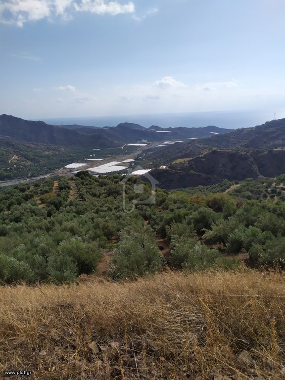 Αγροτεμάχια 3.150 τ.μ. πρός πώληση, Ν. Λασιθίου, Ιεράπετρα