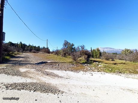 Αγροτεμάχια 2.742τ.μ. για πώληση-Ασκληπιείο » Κορώνη