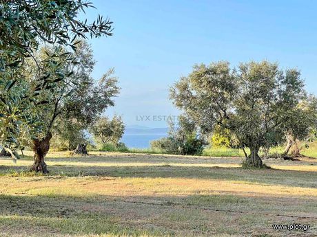 Land plot 5.100sqm for sale-Dafnouses » Arkitsa
