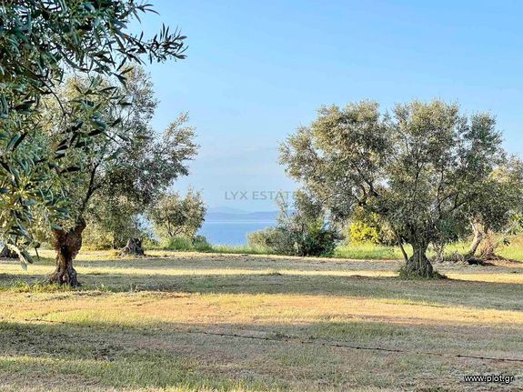 Land plot 5.100 sqm for sale, Phthiotis, Dafnouses