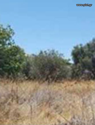 Οικόπεδο 675 τ.μ. για πώληση, Αθήνα - Νότια Προάστια, Άλιμος