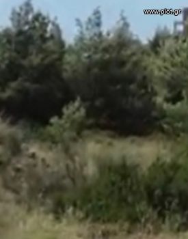 Οικόπεδο 465 τ.μ. για πώληση
