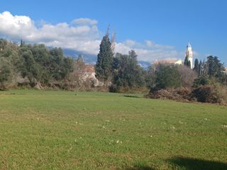 Αγροτεμάχια 4.296 τ.μ. για πώληση