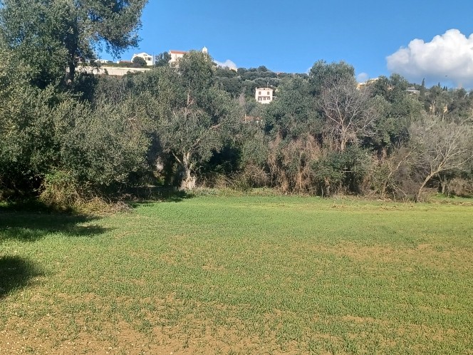 Αγροτεμάχια 4.296 τ.μ. πρός πώληση, Ν. Κεφαλονιάς, Κεφαλονιά