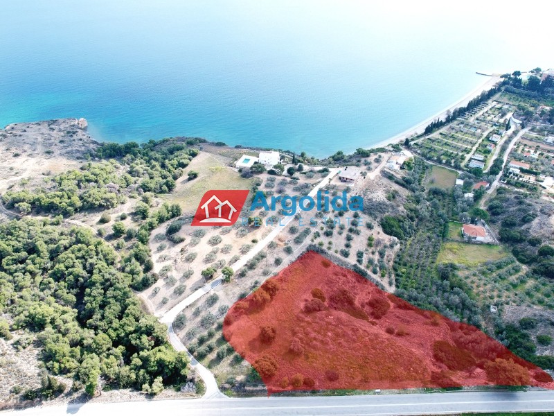 Αγροτεμάχια 8.246 τ.μ. προς πώληση, Παλαιό Καλαμάκι