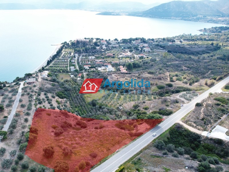 Αγροτεμάχια 8.246 τ.μ. προς πώληση, Παλαιό Καλαμάκι