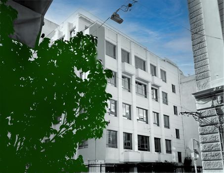 Business bulding 1.540 sqm for sale