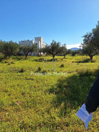 Αγροτεμάχια 2.940 τ.μ. για πώληση, Αττική - Υπόλοιπο, Κερατέα
