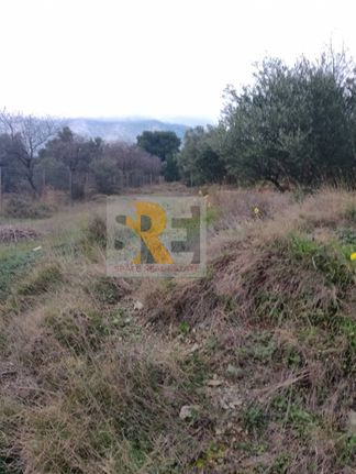 Land plot 1.720 sqm for sale, Athens - East, Paiania