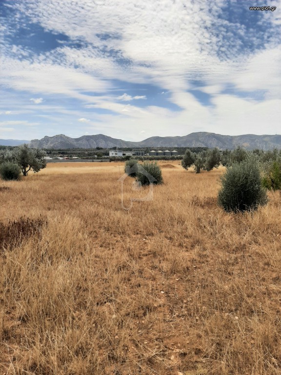 Αγροτεμάχια 4.900 τ.μ. προς πώληση, Άγιος Κοσμάς Κορίνθου