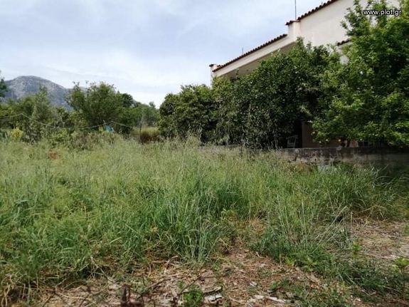 Οικόπεδο 414 τ.μ. για πώληση, Εύβοια, Αμάρυνθος