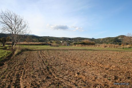 Parcel 10.000 sqm for sale
