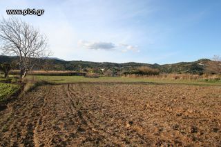 Αγροτεμάχια 10.000 τ.μ. για πώληση