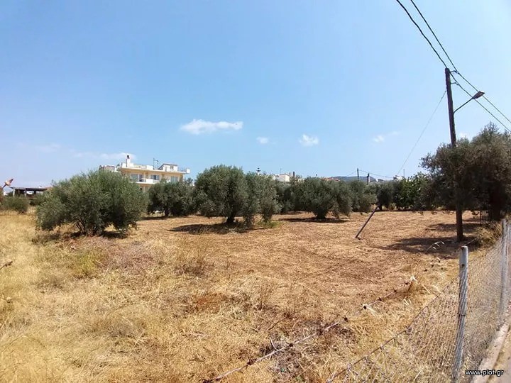 Οικόπεδο 718 τ.μ. πρός πώληση, Εύβοια, Χαλκίδα