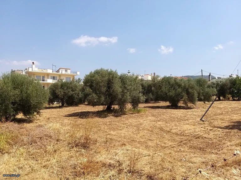 Οικόπεδο 718 τ.μ. πρός πώληση, Εύβοια, Χαλκίδα
