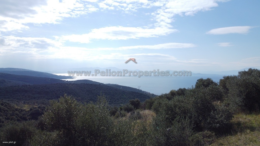 Αγροτεμάχια 8.705 τ.μ. πρός πώληση, Μαγνησία, Αφέτες