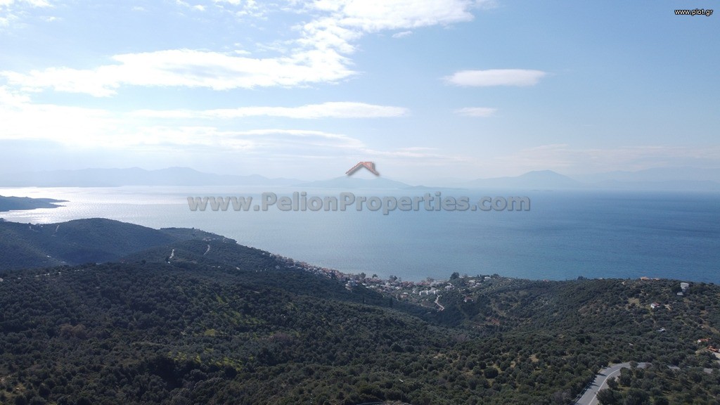 Αγροτεμάχια 8.705 τ.μ. πρός πώληση, Μαγνησία, Αφέτες