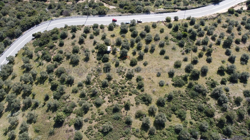 Αγροτεμάχια 8.705 τ.μ. πρός πώληση, Μαγνησία, Αφέτες