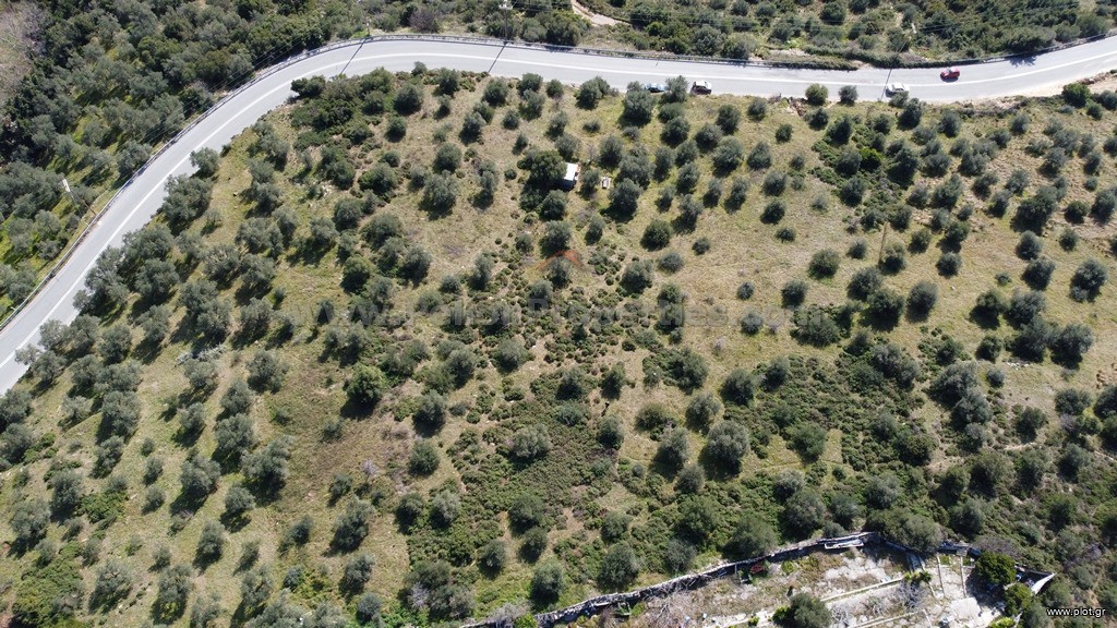 Αγροτεμάχια 8.705 τ.μ. πρός πώληση, Μαγνησία, Αφέτες