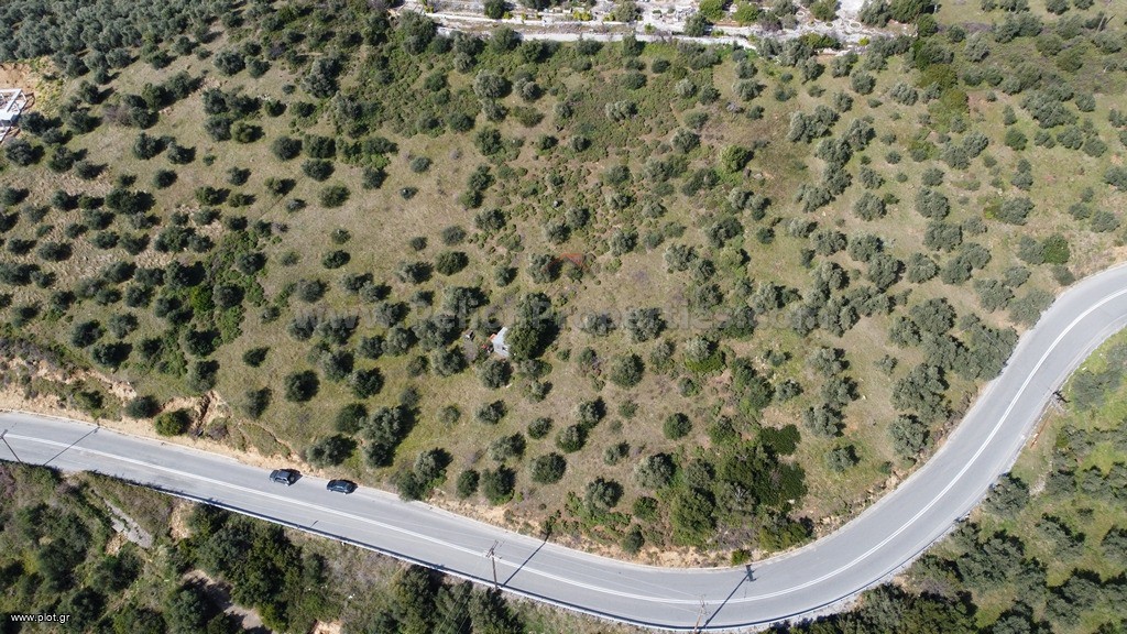 Αγροτεμάχια 8.705 τ.μ. πρός πώληση, Μαγνησία, Αφέτες