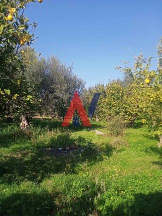 Οικόπεδο 7.000 τ.μ. για πώληση, Αχαΐα, Αίγιο