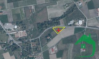 Αγροτεμάχια 4.019 τ.μ. για πώληση