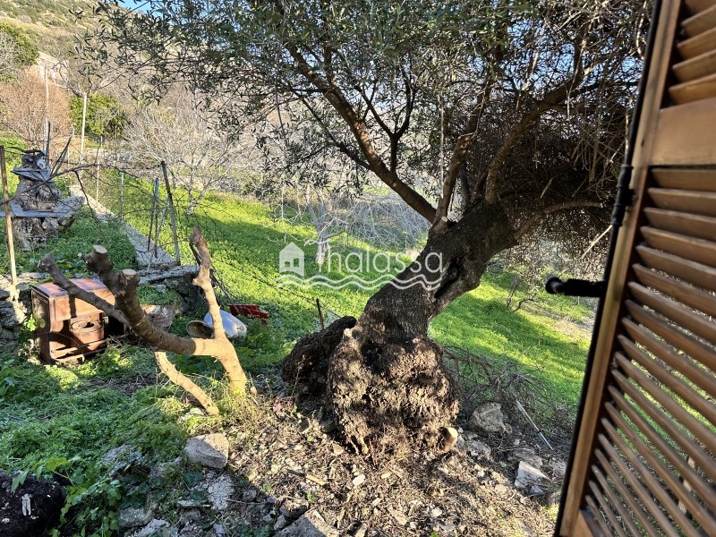Μονοκατοικία 79 τ.μ. προς πώληση, Ελειός - Πρόννοι