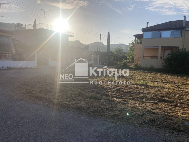 Οικόπεδο 384 τ.μ. πρός πώληση, Ν. Ηλείας, Αρχαία Ολυμπία
