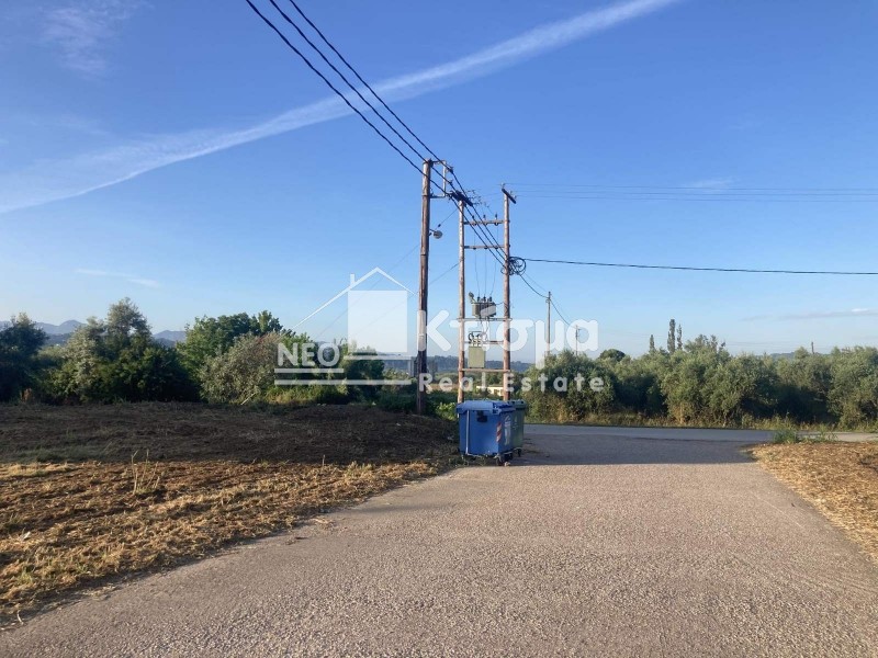 Οικόπεδο 384 τ.μ. πρός πώληση, Ν. Ηλείας, Αρχαία Ολυμπία