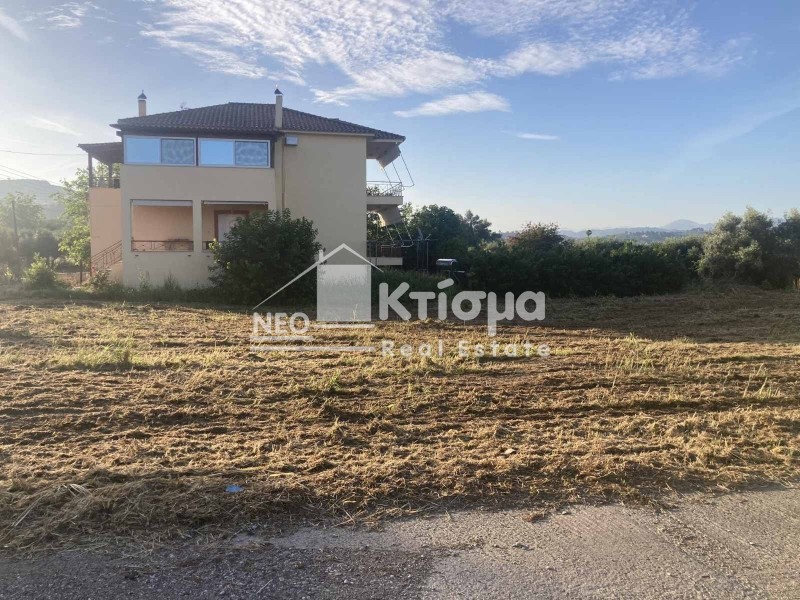 Οικόπεδο 384 τ.μ. πρός πώληση, Ν. Ηλείας, Αρχαία Ολυμπία