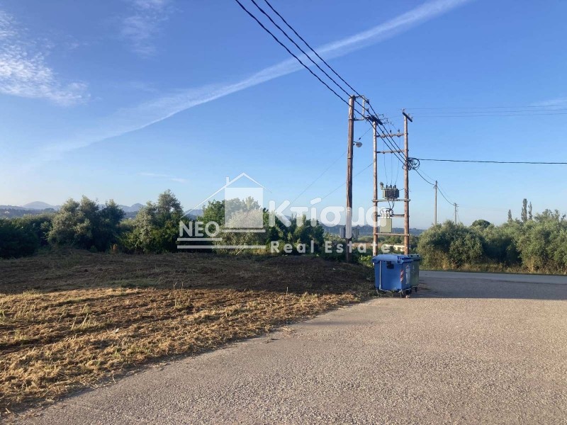 Οικόπεδο 384 τ.μ. πρός πώληση, Ν. Ηλείας, Αρχαία Ολυμπία