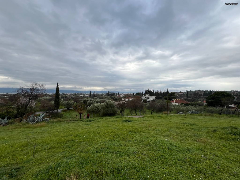 Οικόπεδο 1.300 τ.μ. πρός πώληση, Εύβοια, Αμάρυνθος