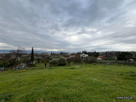 Land plot 1.300 sqm for sale