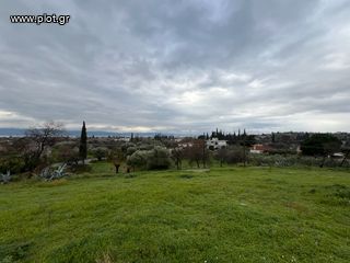 Οικόπεδο 1.300 τ.μ. για πώληση