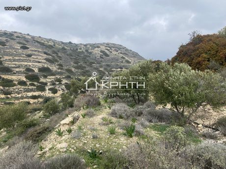 Land plot 12.454,8sqm for sale-Ierapetra