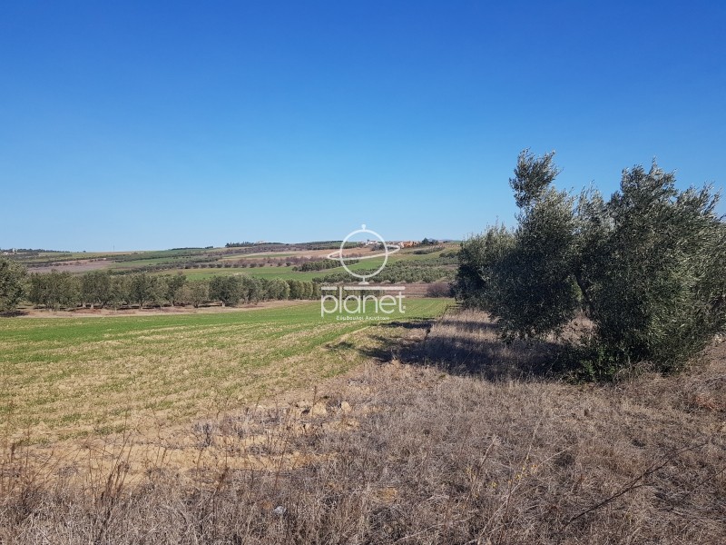 Αγροτεμάχια 5.525 τ.μ. πρός πώληση, Θεσσαλονίκη - Περιφ/Κοί Δήμοι, Επανομή